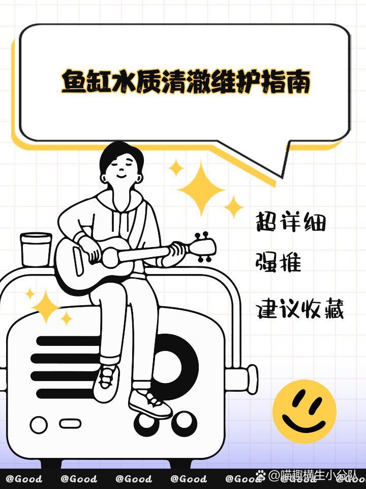 玉溪魚缸維護，《玉溪魚缸維護》