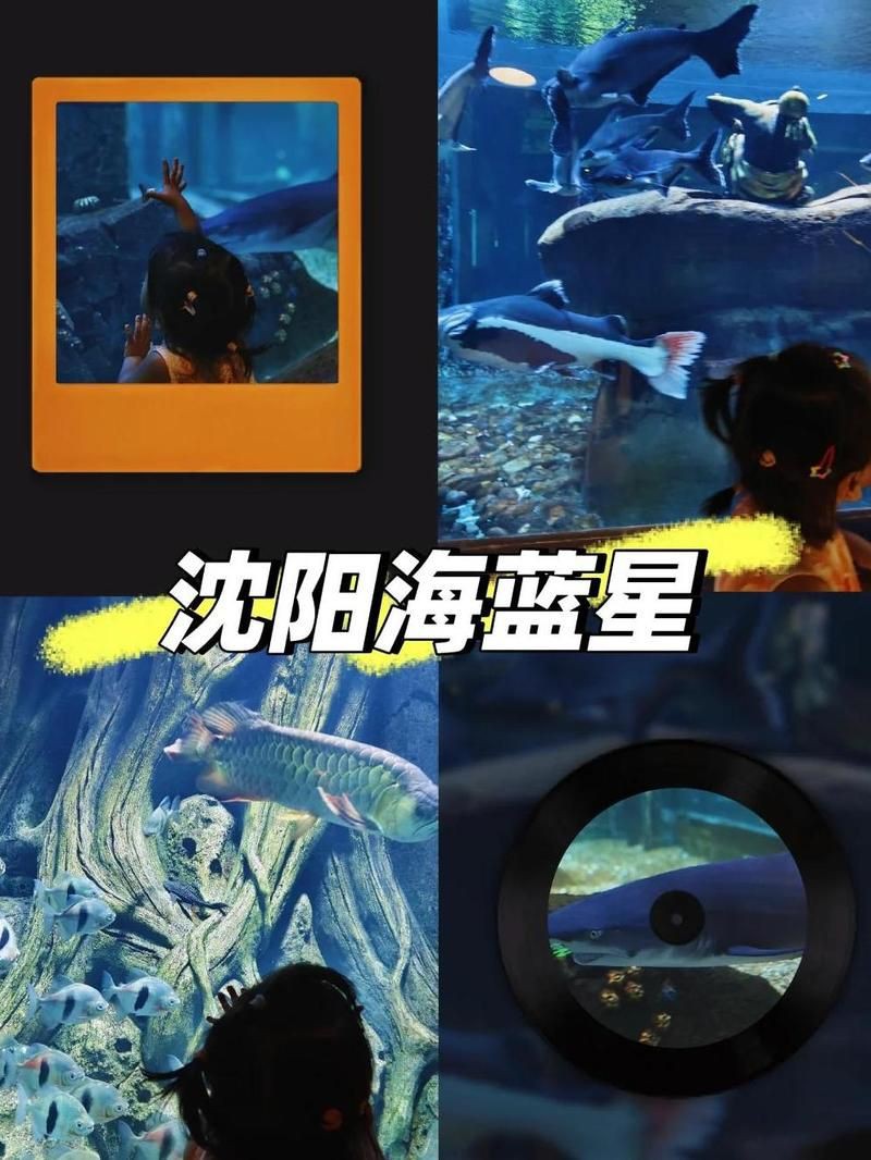 沈陽水族館，探秘沈陽水族館