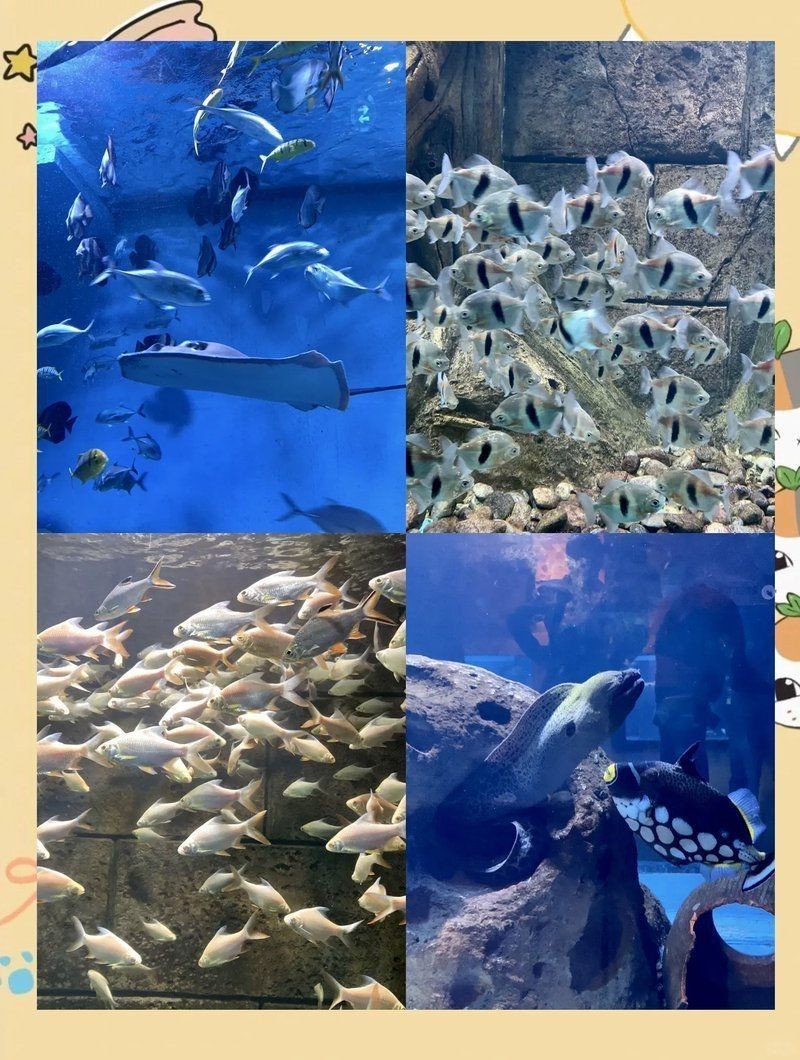 沈陽水族館，探秘沈陽水族館