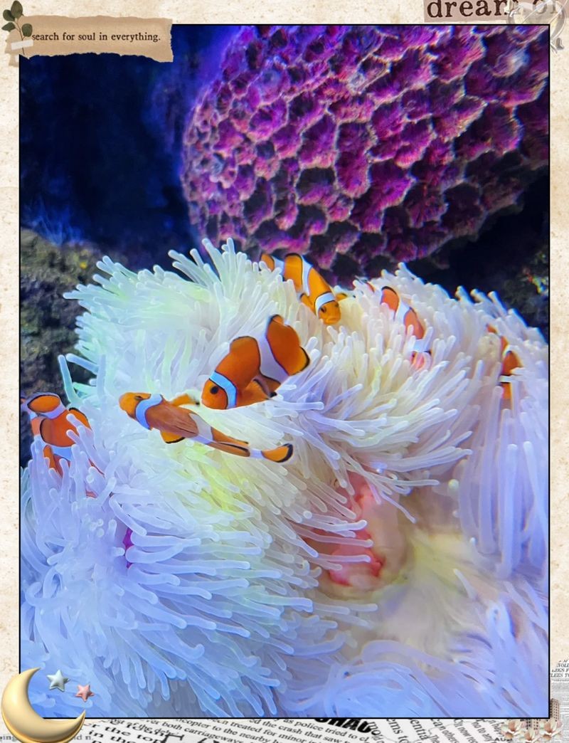 沈陽水族館，探秘沈陽水族館