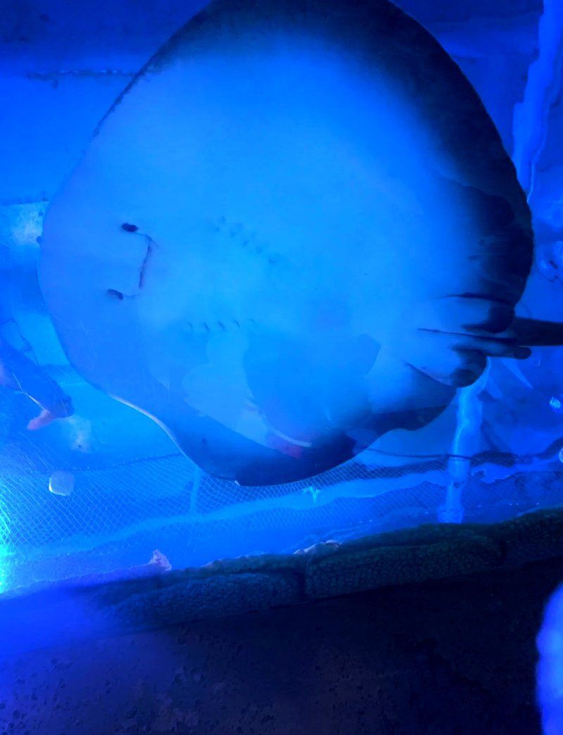沈陽水族館，探秘沈陽水族館