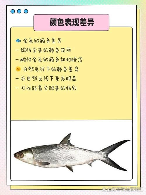 和尚魚公母最簡單辨認圖，和尚魚公母的最簡單辨認方法