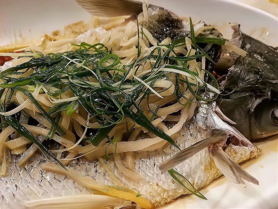 海鯰魚的最佳吃法，《海鯰魚的最佳吃法》喜歡濃郁口感的紅燒醬燜，或是創新的吃法