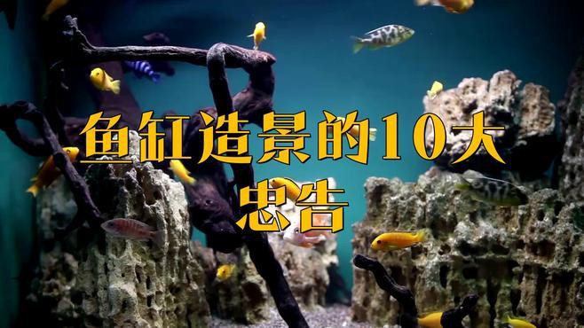 如何避免龍魚缸造景中的常見問題？，龍魚缸造景常見問題的規(guī)避策略