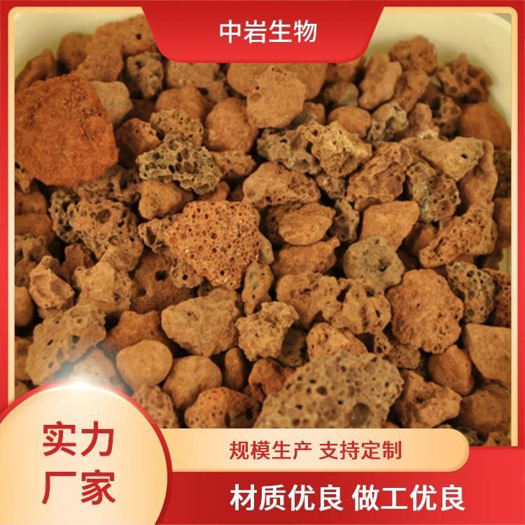 梧州魚缸店，梧州魚缸行業單純養魚向多功能定制魚缸制造企業構成