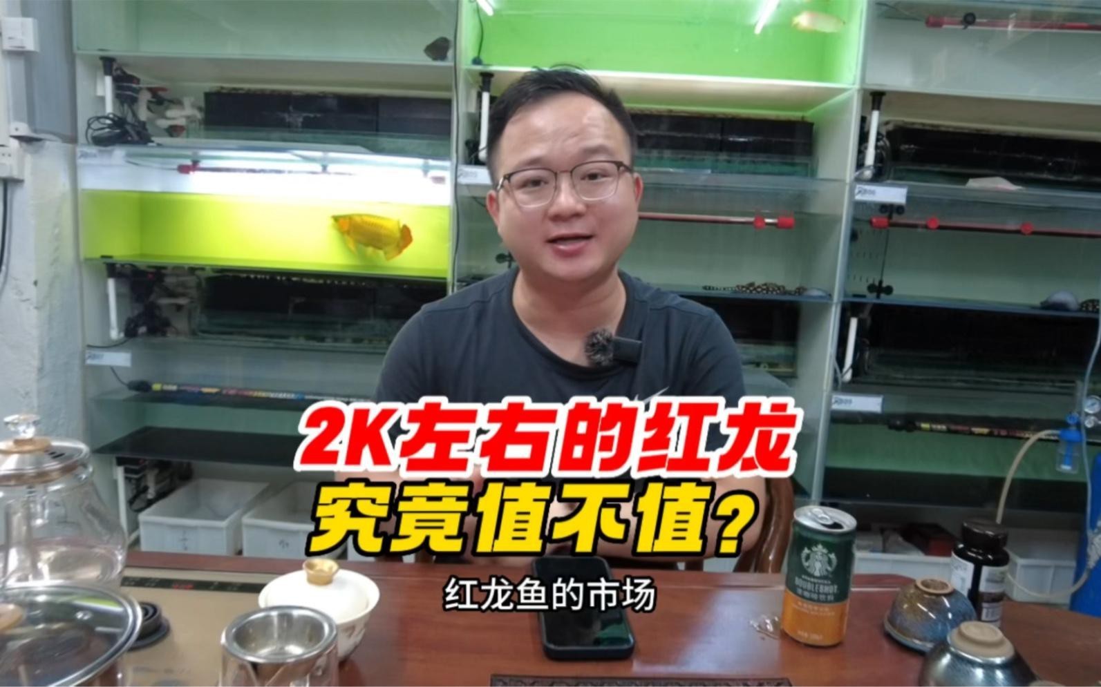 2000元能買到怎樣的泗水紅龍魚？，每月200元養出“金盔紅甲”的保姆級指南小毅說魚