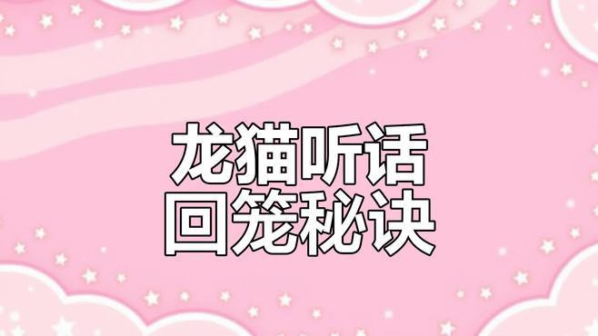 如何訓練龍貓回籠？，如何讓龍貓乖乖回籠子嗶哩嗶哩嗶哩嗶哩嗶哩嗶哩必看