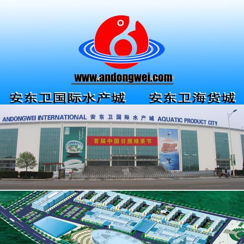 日照水族批發(fā)市場(chǎng),日照三大海鮮市場(chǎng)探秘 全國(guó)水族館企業(yè)名錄 第4張 日照水族批發(fā)市場(chǎng),日照三大海鮮市場(chǎng)探秘 日照水族批發(fā)市場(chǎng),日照三大海鮮市場(chǎng)探秘 全國(guó)水族館企業(yè)名錄 第4張