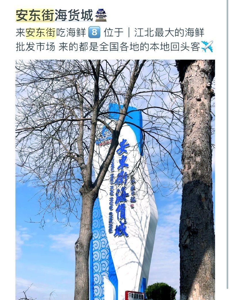 日照水族批發(fā)市場(chǎng),日照三大海鮮市場(chǎng)探秘 全國(guó)水族館企業(yè)名錄 第6張 日照水族批發(fā)市場(chǎng),日照三大海鮮市場(chǎng)探秘 日照水族批發(fā)市場(chǎng),日照三大海鮮市場(chǎng)探秘 全國(guó)水族館企業(yè)名錄 第6張