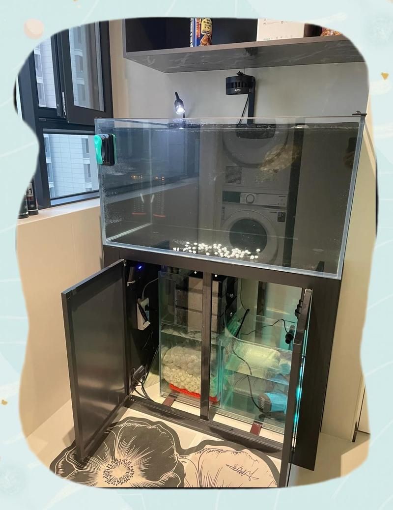 西安魚缸店，西安最大水族商店——水晶宮水族藝術(shù)館