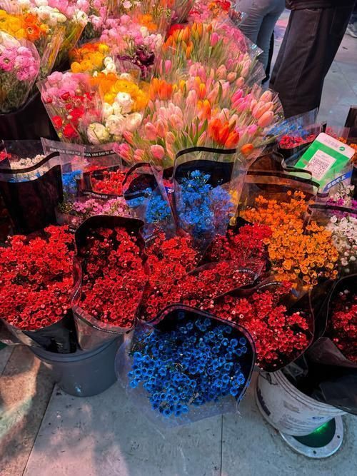 株洲魚缸店，株洲市魚缸店