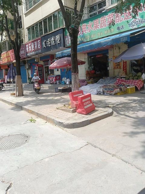 楊凌龍魚店，楊凌可麗愛魚缸店升級端午快樂觀賞魚世界楊凌魚聞天下