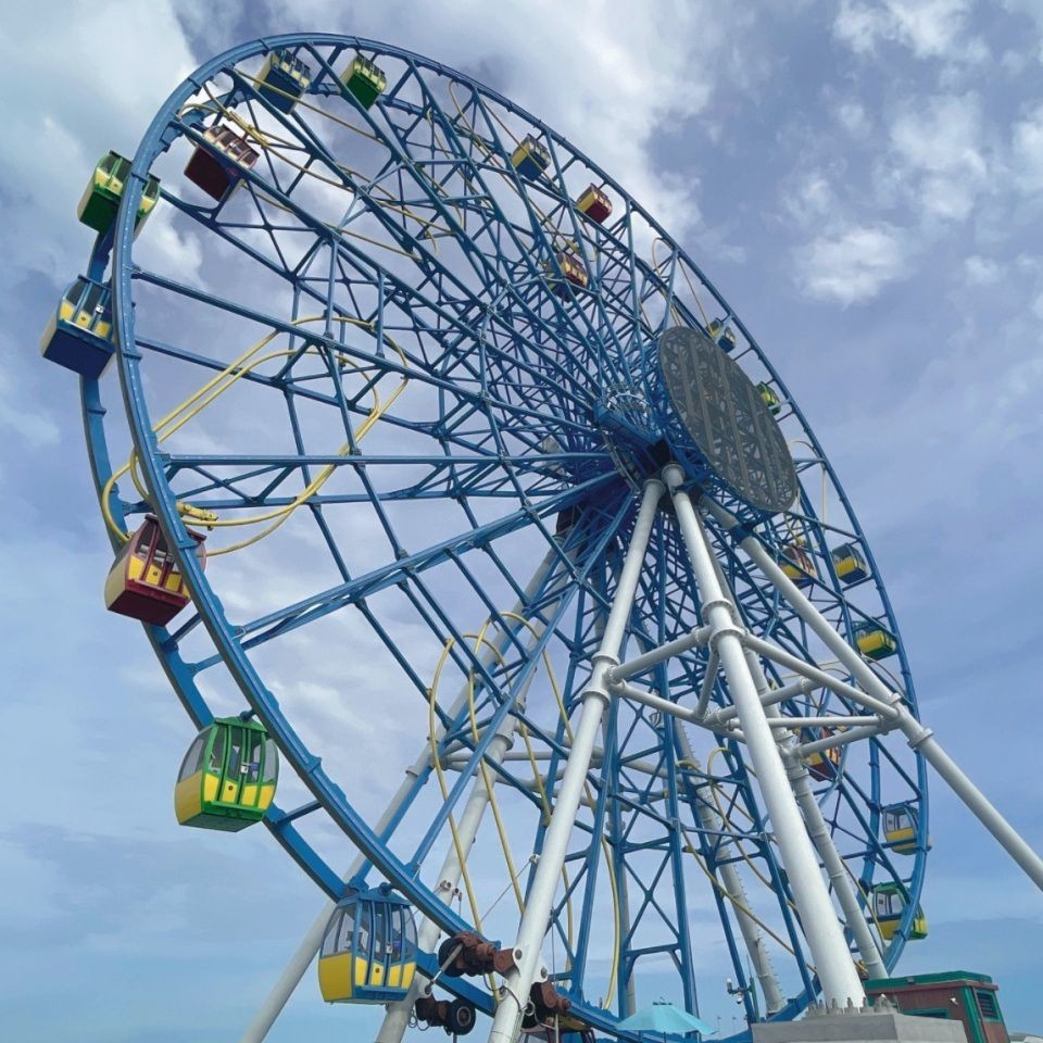 楊凌龍魚店，楊凌可麗愛魚缸店升級端午快樂觀賞魚世界楊凌魚聞天下