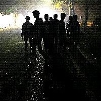 鎮江魚缸店，丹陽鎮江魚缸店綜合信息整理咪兔starlet吃呵玩