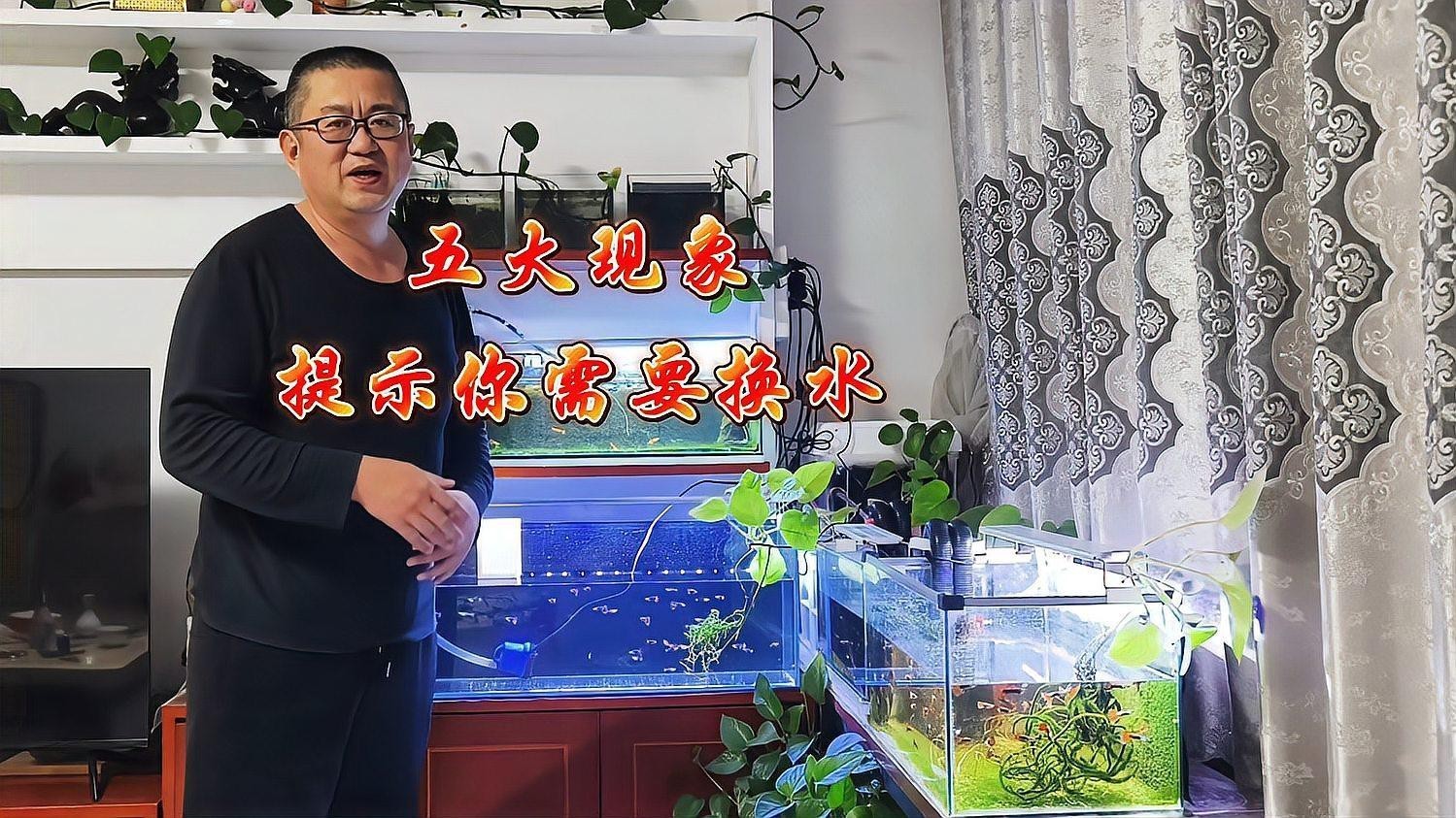 如何判斷金龍魚是否需要換水？，如何判斷金龍魚是否需要換水