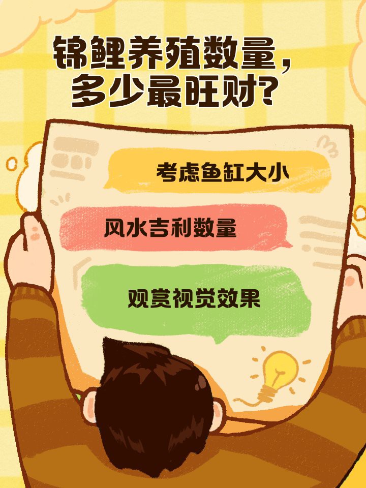 一米魚缸養(yǎng)幾條錦鯉，《一米魚缸養(yǎng)成年錦鯉》一米魚缸飼養(yǎng)數(shù)字偏好111條