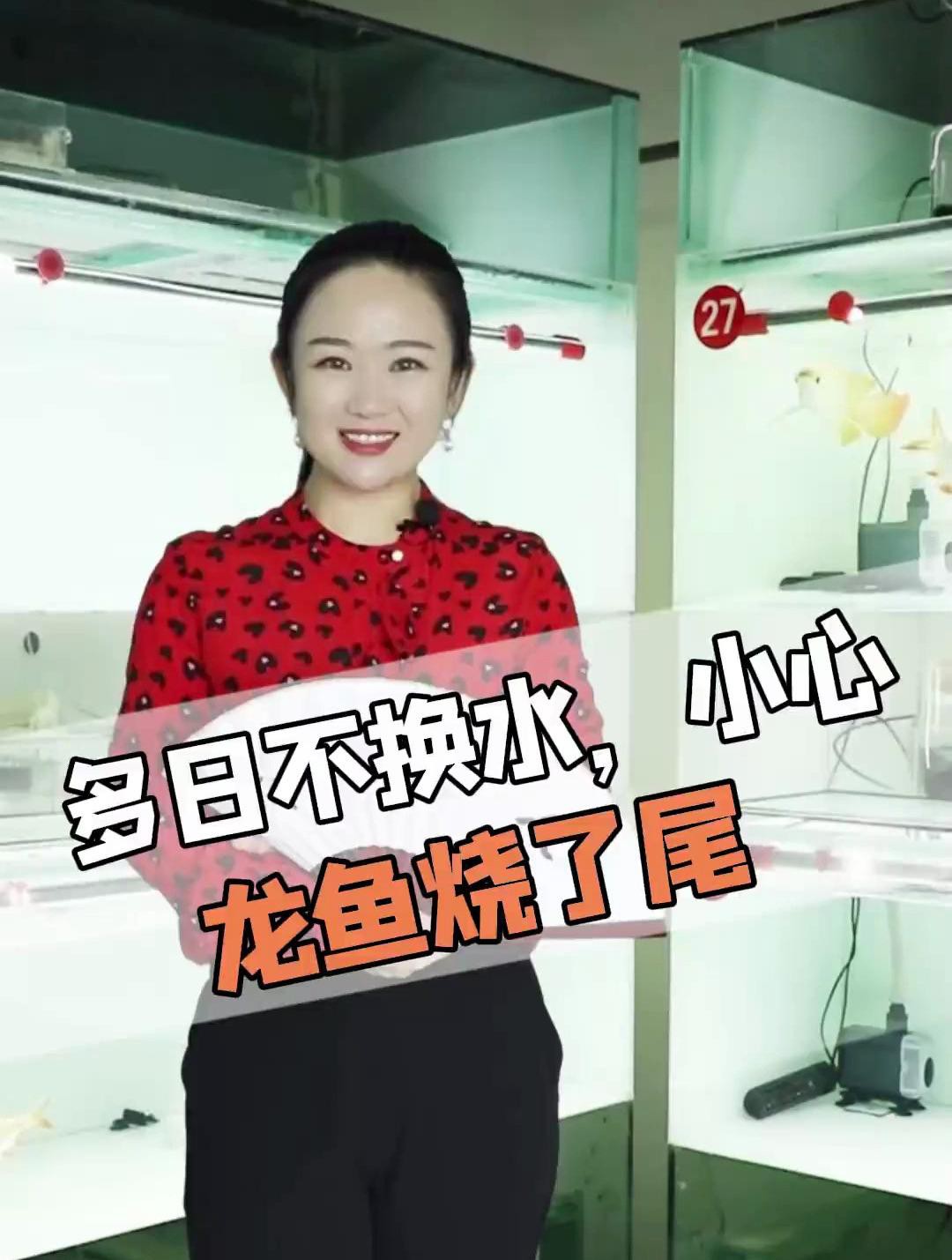 如何預(yù)防龍魚再次燒尾？，多日不換水，小心龍魚燒尾、掉尾怎么辦