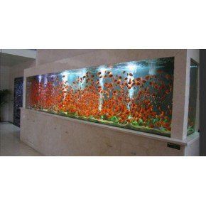 昆明魚缸店，昆明尚美生態魚缸水族店