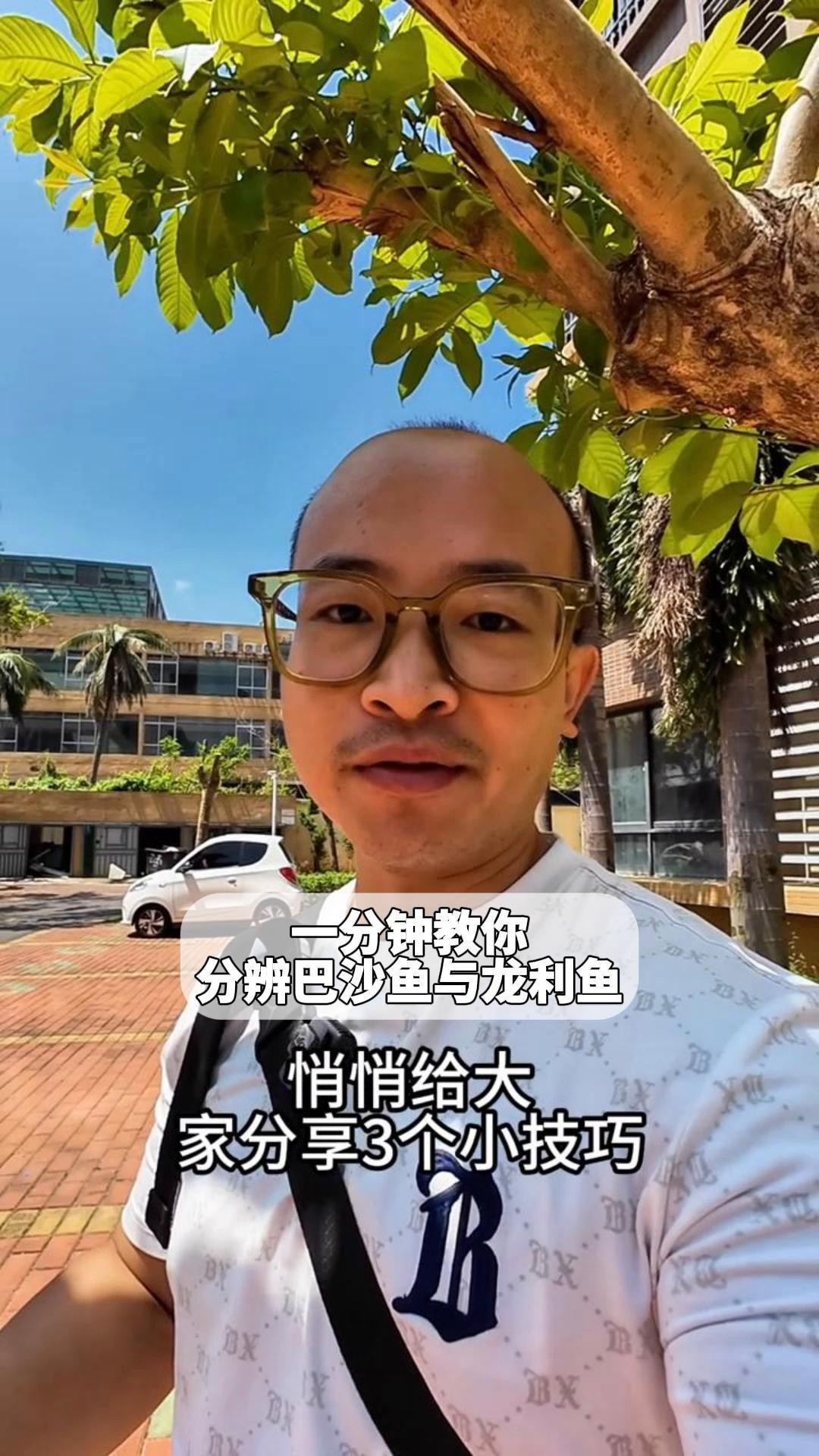 如何區分龍利魚和巴沙魚？，如何區分龍利魚和巴沙魚與巴沙魚的差異揭秘巴沙魚的區別