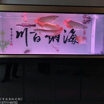 鹽城魚缸定做，鹽城地區(qū)的魚缸定做服務(wù)市場活躍涵蓋多種類型與應(yīng)用場景