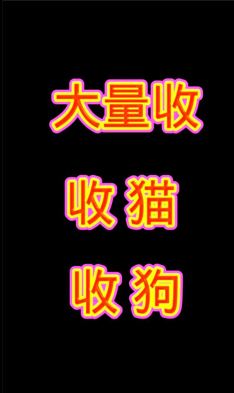 廣東上門收購塘角魚，廣東地區上門收購塘角魚 廣東上門收購塘角魚，廣東地區上門收購塘角魚 全國水族館企業名錄 第8張