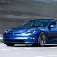 廣東上門收購塘角魚，廣東地區上門收購塘角魚 廣東上門收購塘角魚，廣東地區上門收購塘角魚 全國水族館企業名錄 第7張