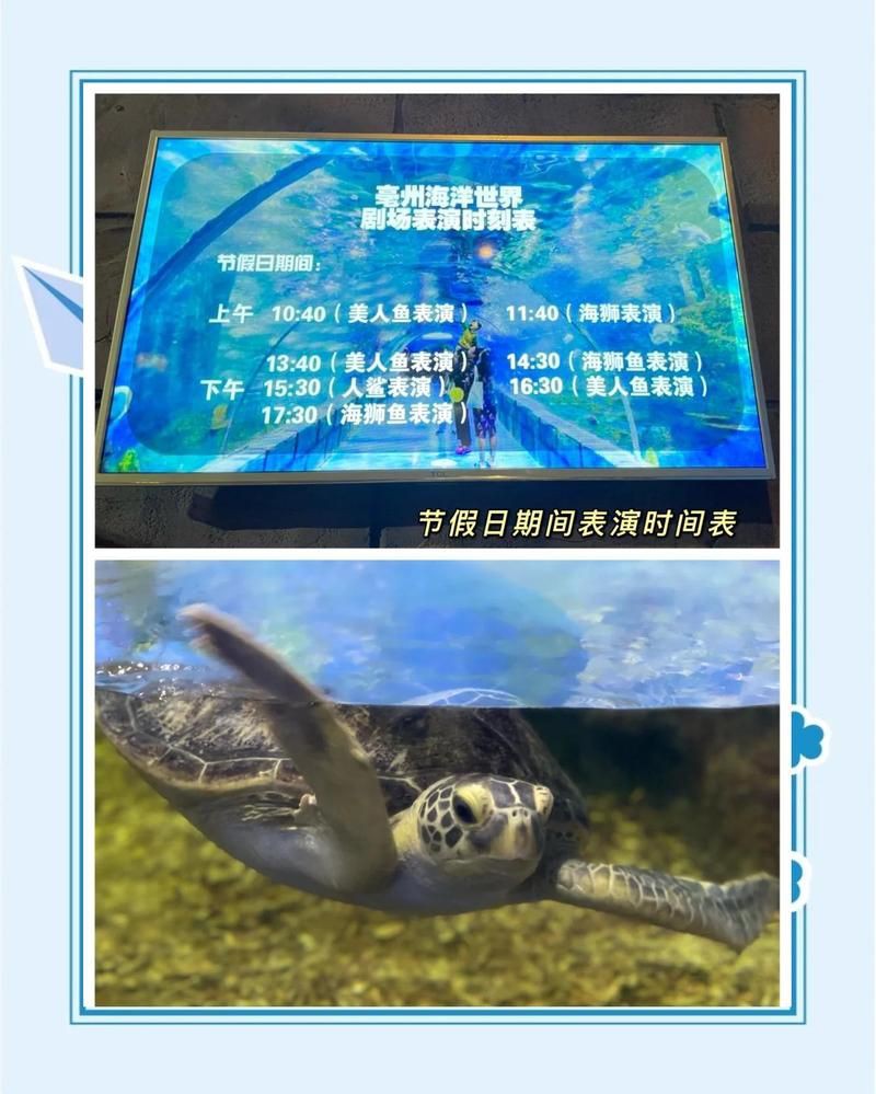 毫州水族店，亳州市譙城區(qū)好多魚(yú)水族用品店