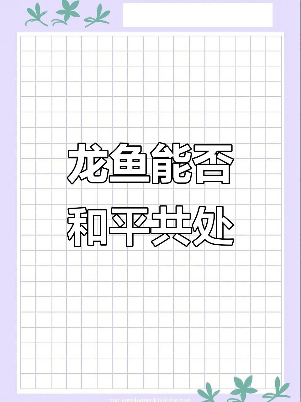 如何判斷龍魚(yú)和混養(yǎng)魚(yú)是否和諧相處？，如何判斷龍魚(yú)與混養(yǎng)魚(yú)是否和諧相處