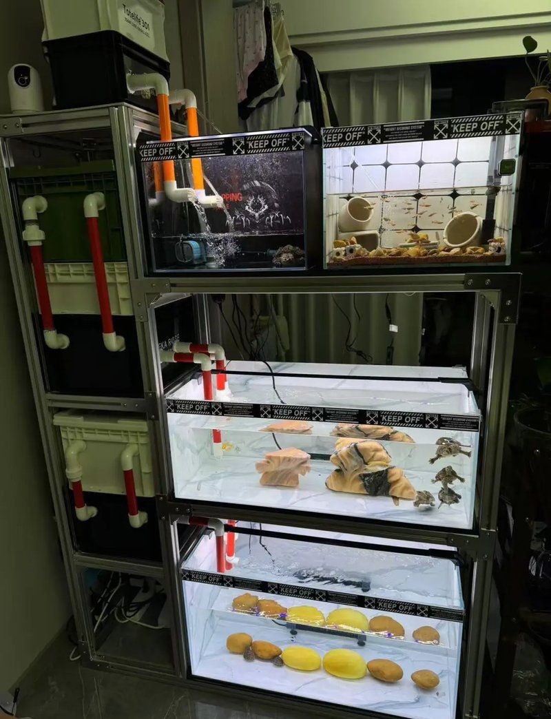 欽州魚(yú)缸定做，欽州大型魚(yú)缸定制