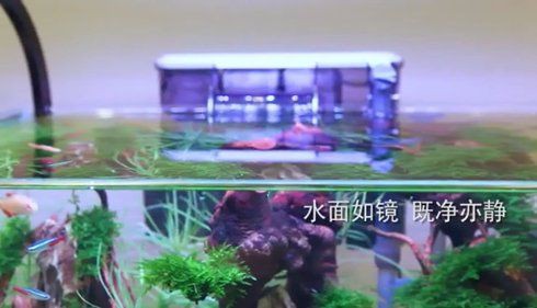 甘孜藏族自治州魚缸維護，—甘孜藏族自治州魚缸維護實踐報告