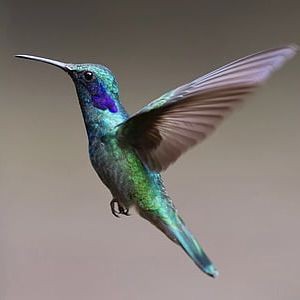 甘孜藏族自治州魚缸維護，—甘孜藏族自治州魚缸維護實踐報告