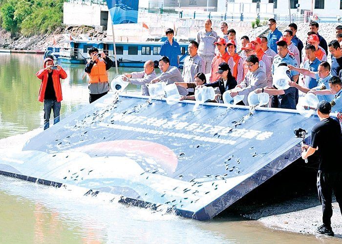 甘孜藏族自治州魚缸維護，—甘孜藏族自治州魚缸維護實踐報告