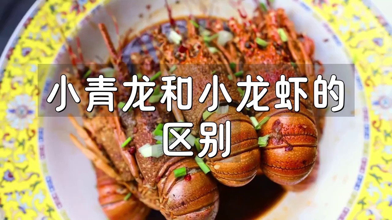 如何區分淡水小青龍和海水小青龍？，“趣”科普|你真的知道怎么區分小青龍龍蝦嗎