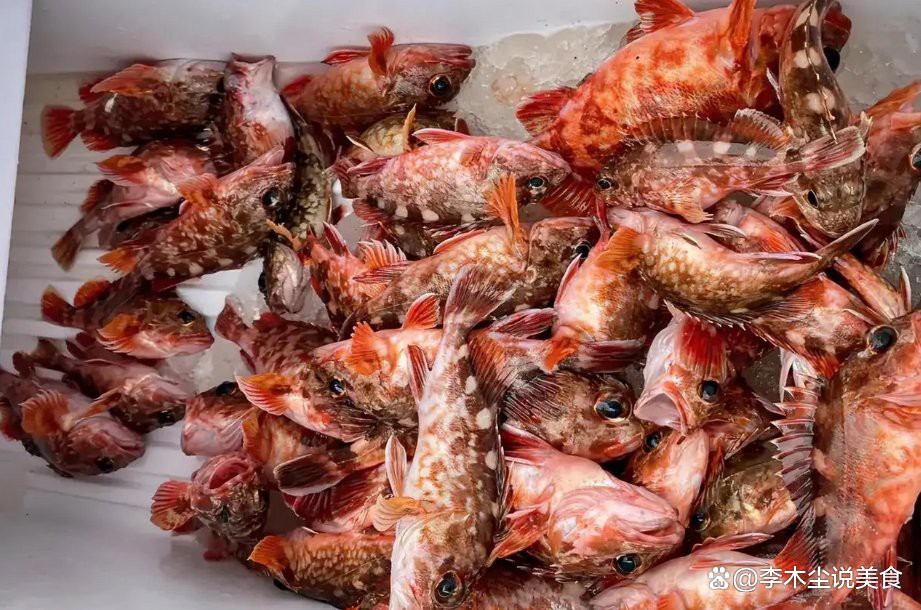石九公魚為何要盡量少吃，石九公魚的營養價值有哪些