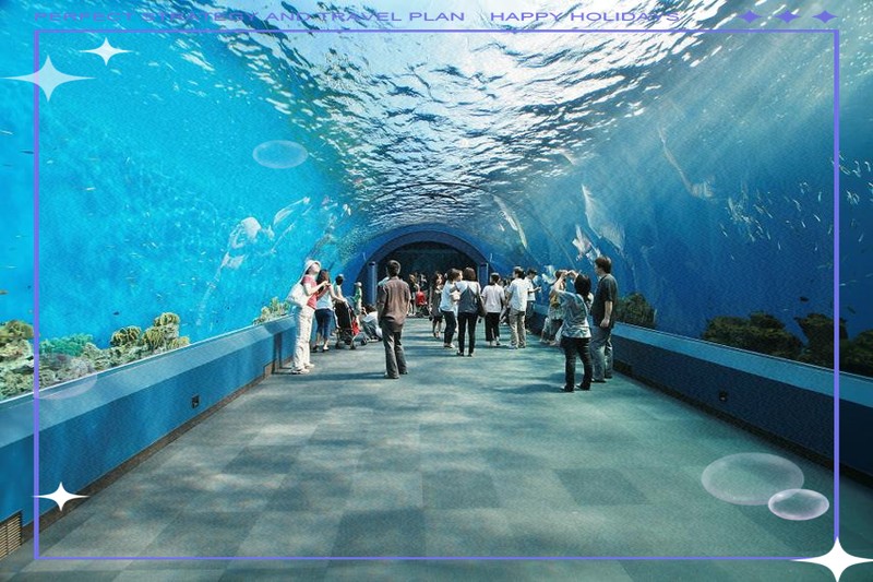 樂山水族店，樂山市中區躍城水族館愛企查樂山市中區魚多多水族館愛企查