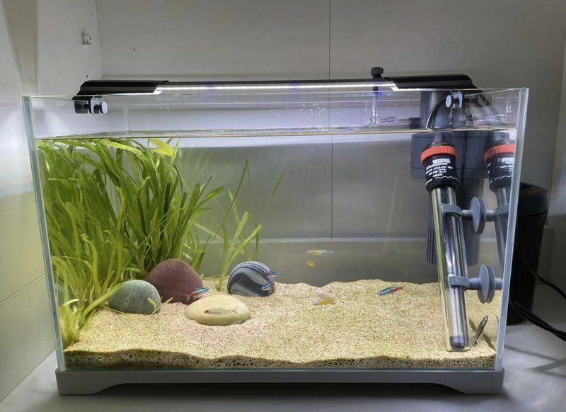 盤錦魚缸店，盤錦魚缸店呈現多元化經營模式呈現出多元化經營模式