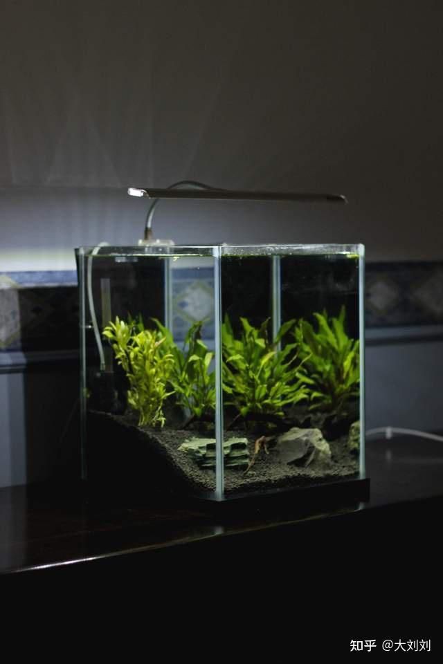 盤錦魚缸店，盤錦魚缸店呈現多元化經營模式呈現出多元化經營模式