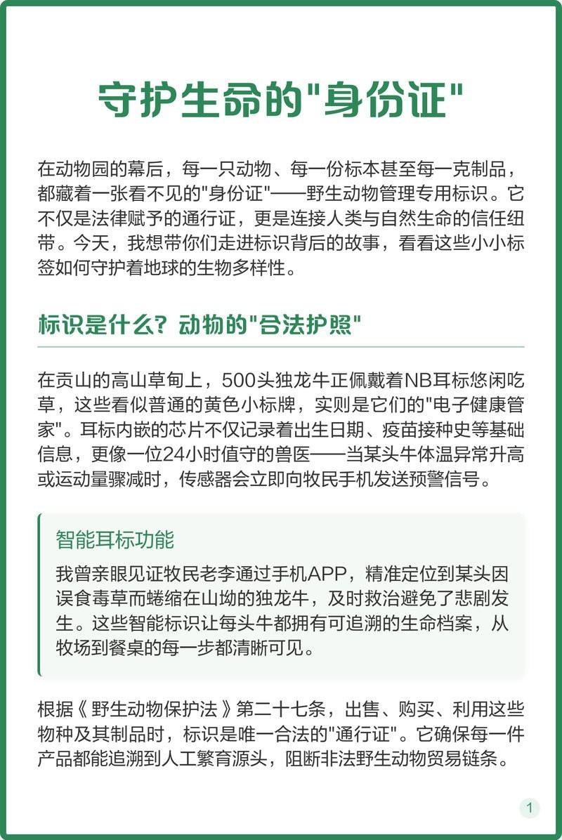 如何辨別鱘龍魚是否合法養(yǎng)殖？，如何區(qū)分雜交鱘和中華鱘？