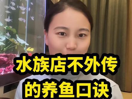 奇臺(tái)水族店，奇臺(tái)縣主要水族店的綜合信息