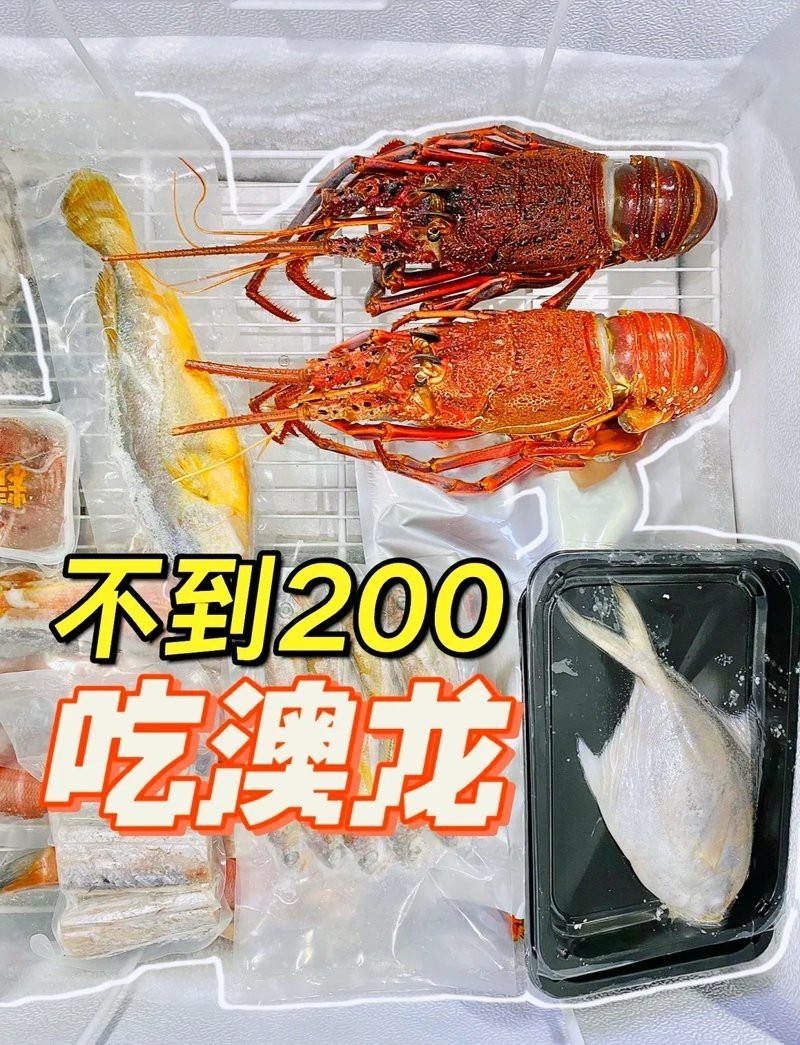 哪里可以買到正宗的澳龍？，澳大利亞龍蝦批發市場如何辨別真偽？