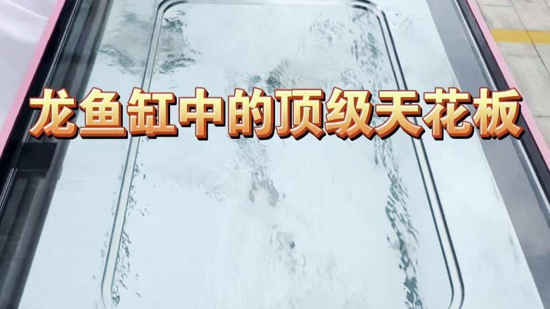 再給我推薦幾個龍魚魚缸品牌，優質龍魚魚缸品牌及牌子分析