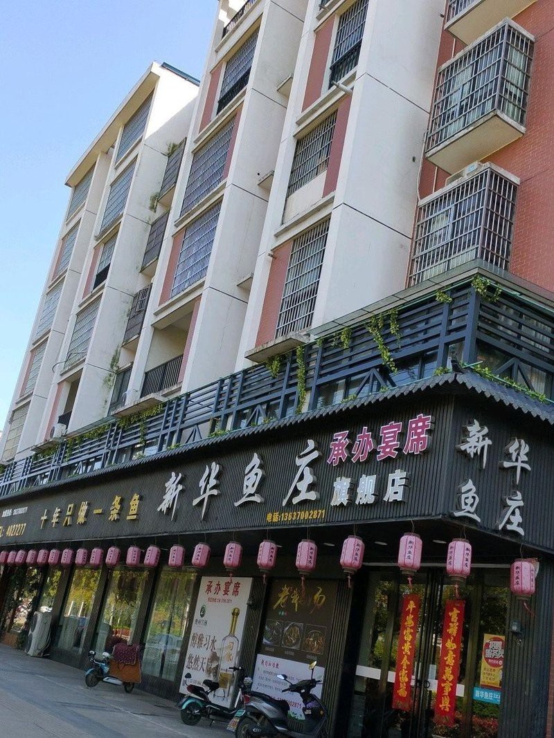 新華龍魚店，新華龍魚店在哪里