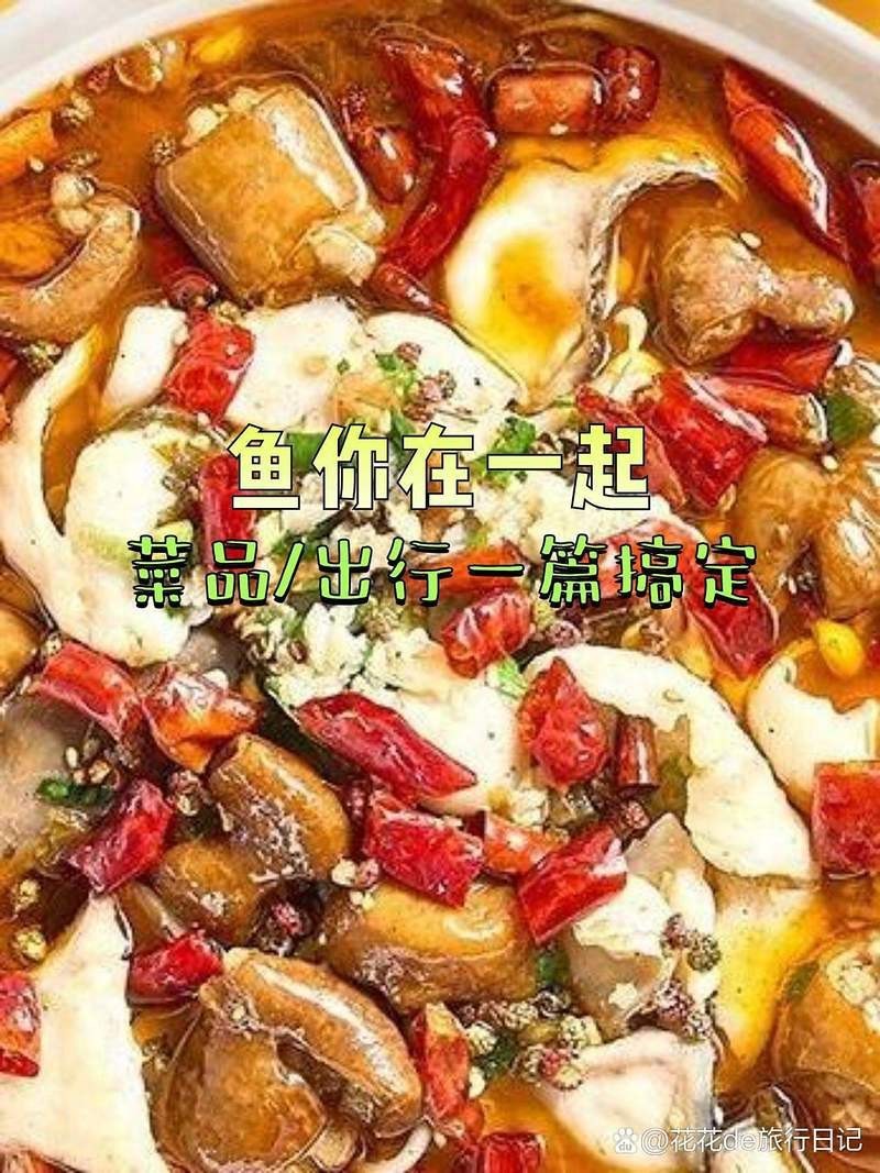 莊浪龍魚店，莊浪浪龍魚店的評(píng)價(jià)如何