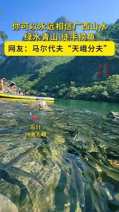 河池龍魚店，天峨縣紅水河的“藍刀魚風暴”成為網紅景點