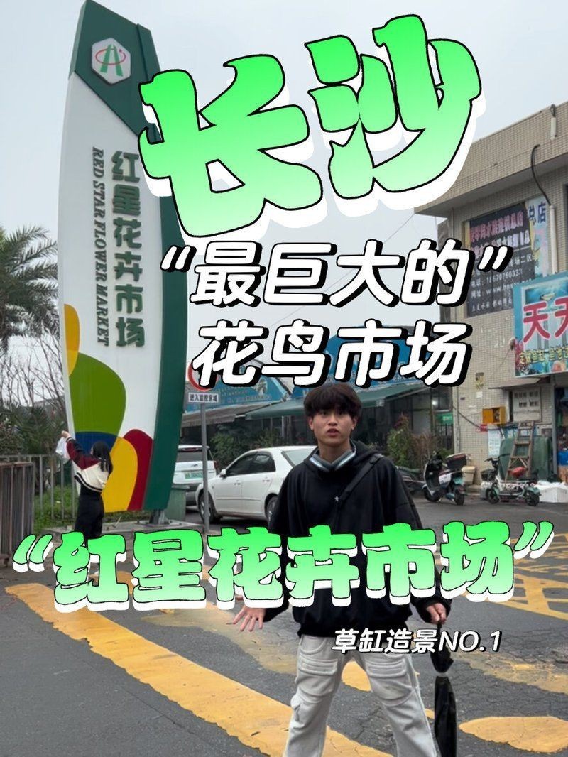 長沙魚缸批發市場，長沙魚缸批發市場分析