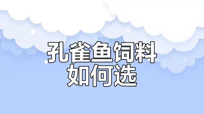 孔雀魚喂什么飼料最好？，《孔雀魚喂什么飼料最好》孔雀魚飼料怎么選經(jīng)驗(yàn)分享