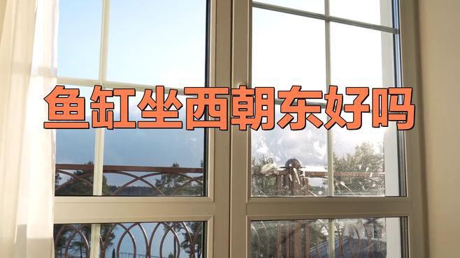 如何結(jié)合房屋布局選擇龍魚缸的最佳朝向？，觀賞魚世界魚缸擺放的最佳位置