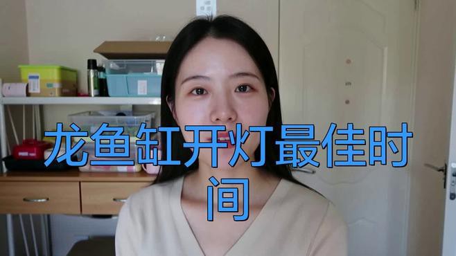 如何為紅龍魚提供適宜的光照？，《如何為紅龍魚提供適宜的光照》