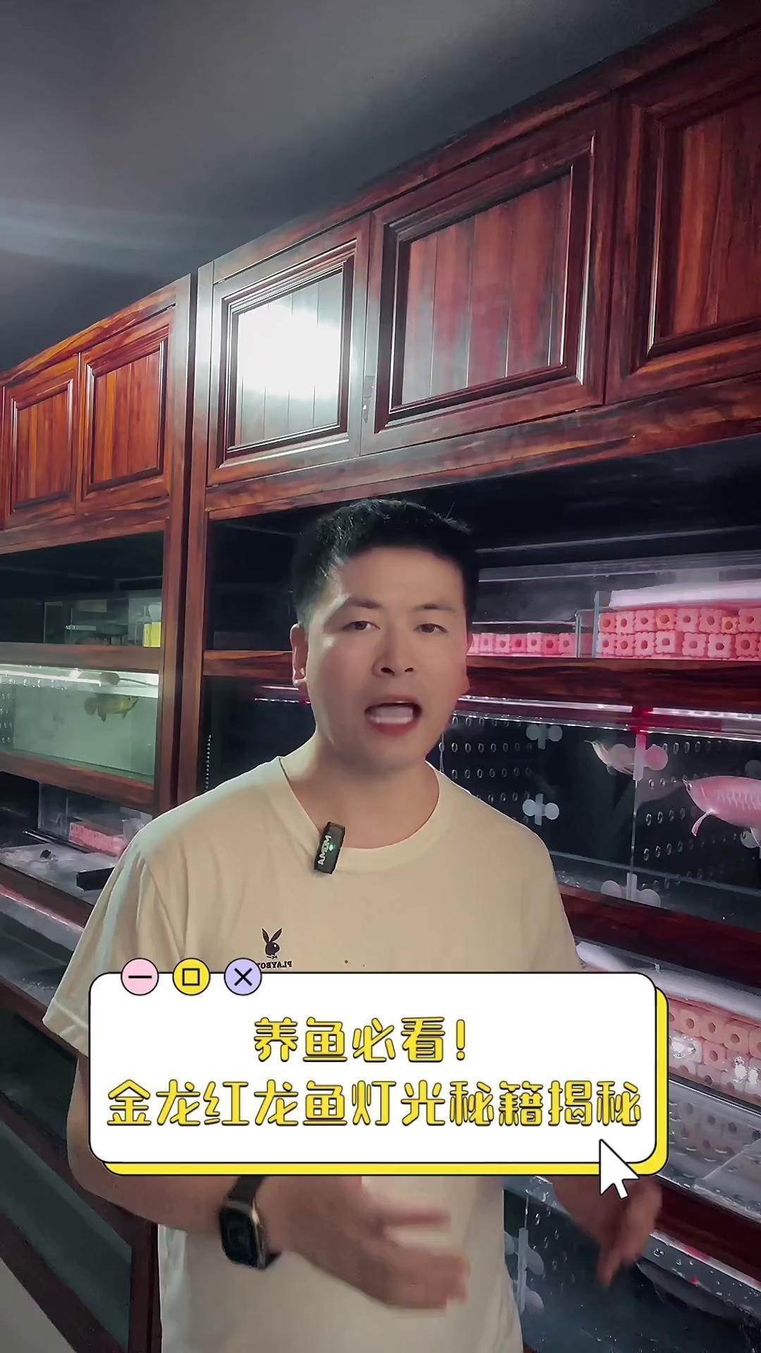 如何為紅龍魚提供適宜的光照？，《如何為紅龍魚提供適宜的光照》