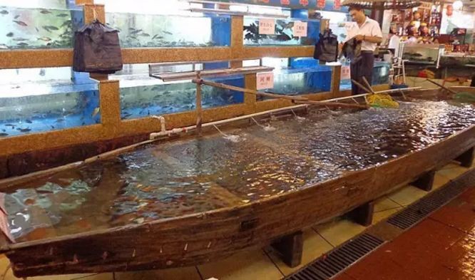 婁煩龍魚店，婁煩龍魚店的價格如何